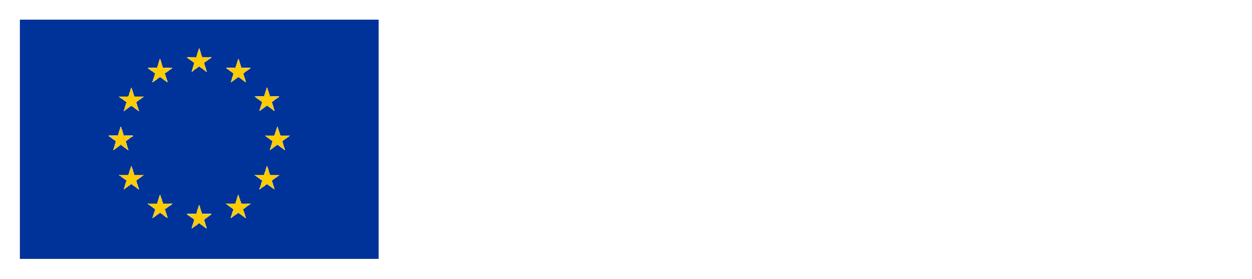 EU Logo