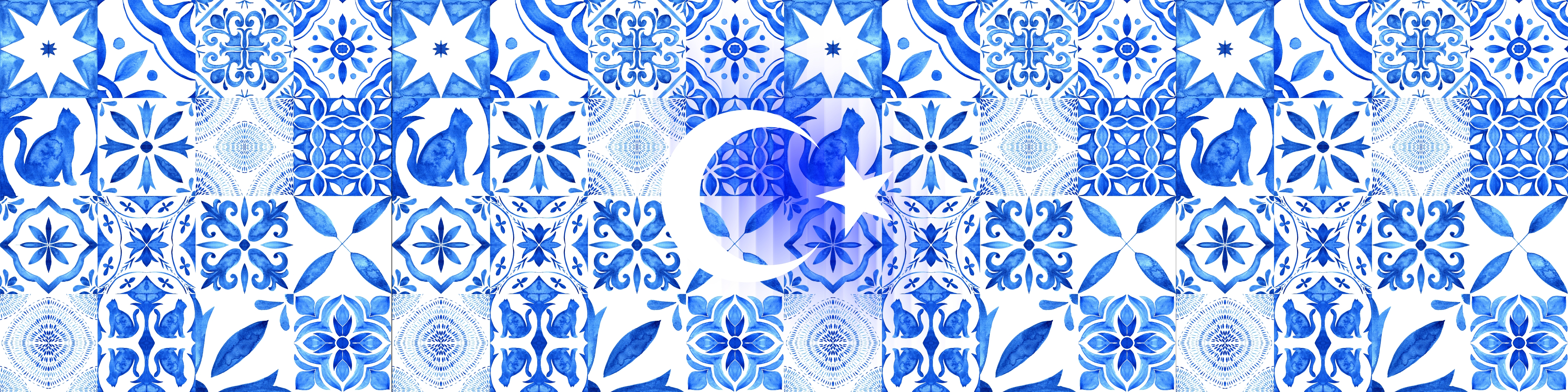 Footer Image